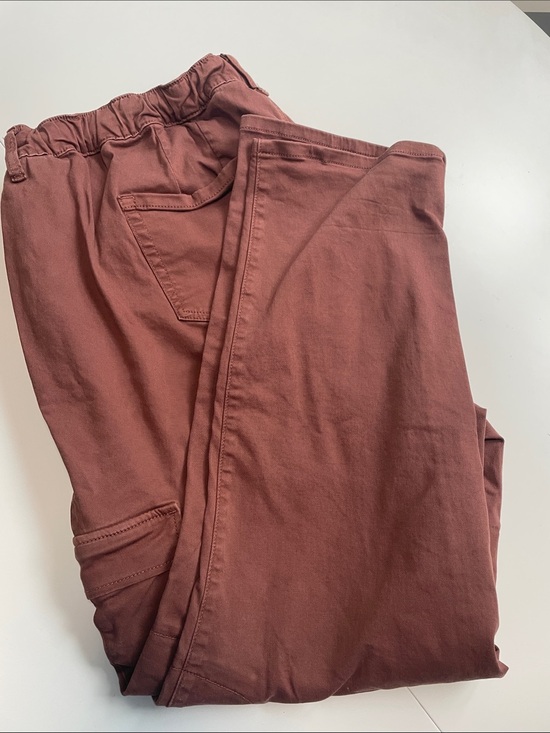 torrid Pants - torrid Cargo Pants in Dusty Rose Brown